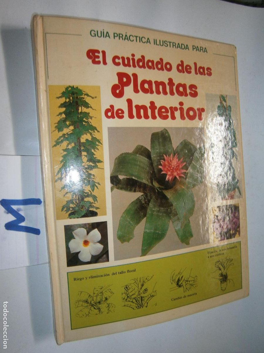 Libros de segunda mano: EL CUIDADO DE LAS PLANTAS DE INTERIOR - Foto 1