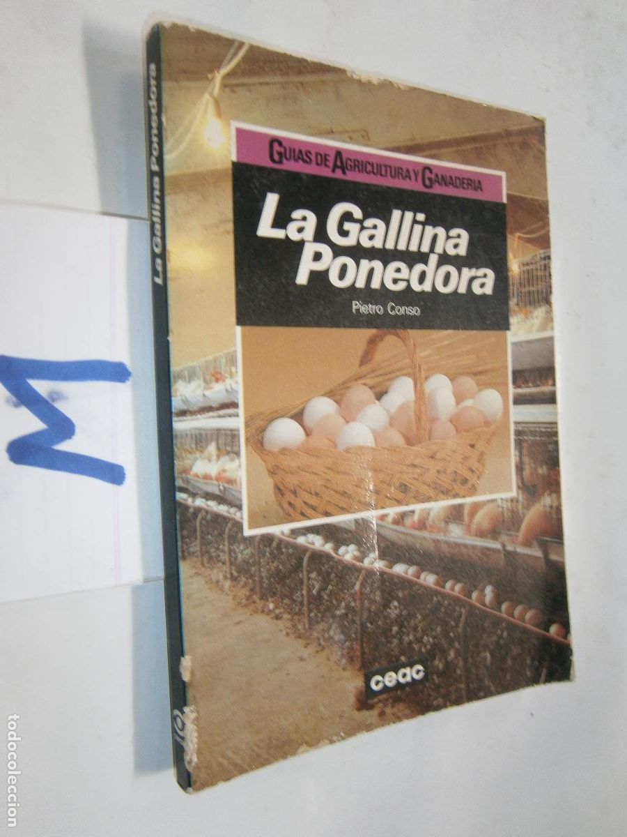 Libros de segunda mano: --- LA GALLINA PONEDORA --- - Foto 1