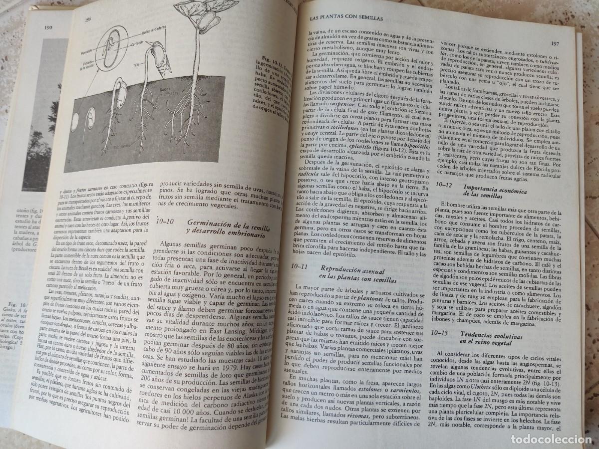 Libros de segunda mano: Biolog&iacute;a Claude A Villee - Foto 6