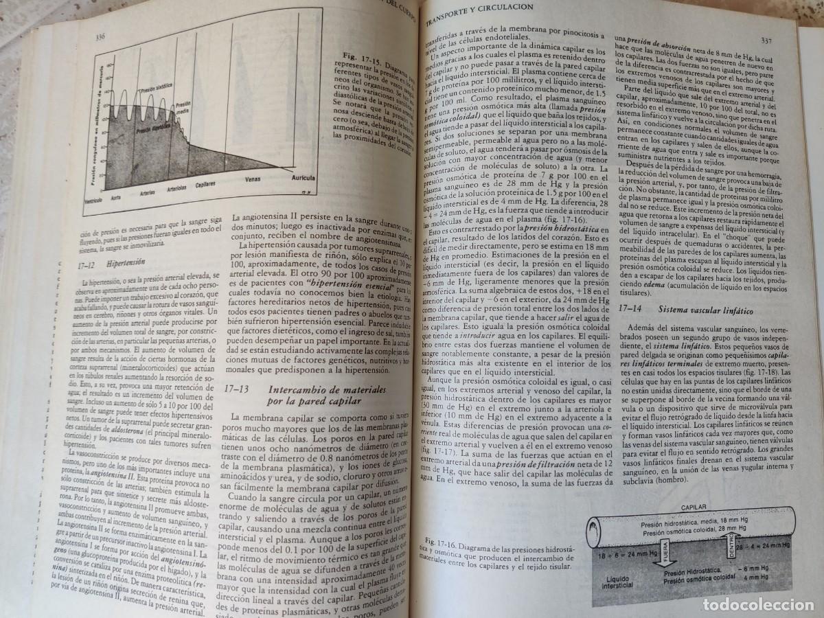 Libros de segunda mano: Biolog&iacute;a Claude A Villee - Foto 7