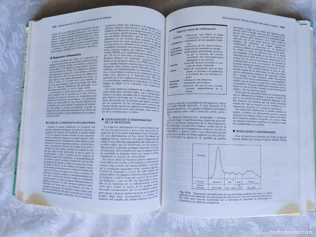 Libros de segunda mano: Biolog&iacute;a Claude A Villee - Foto 9
