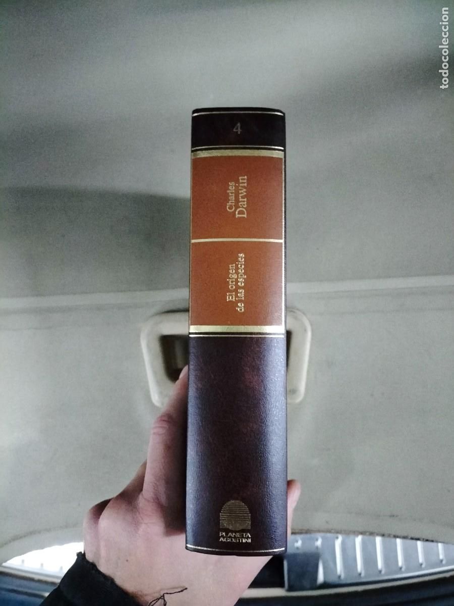 Libros de segunda mano: El origen de las especies - Charles Darwin - Foto 2
