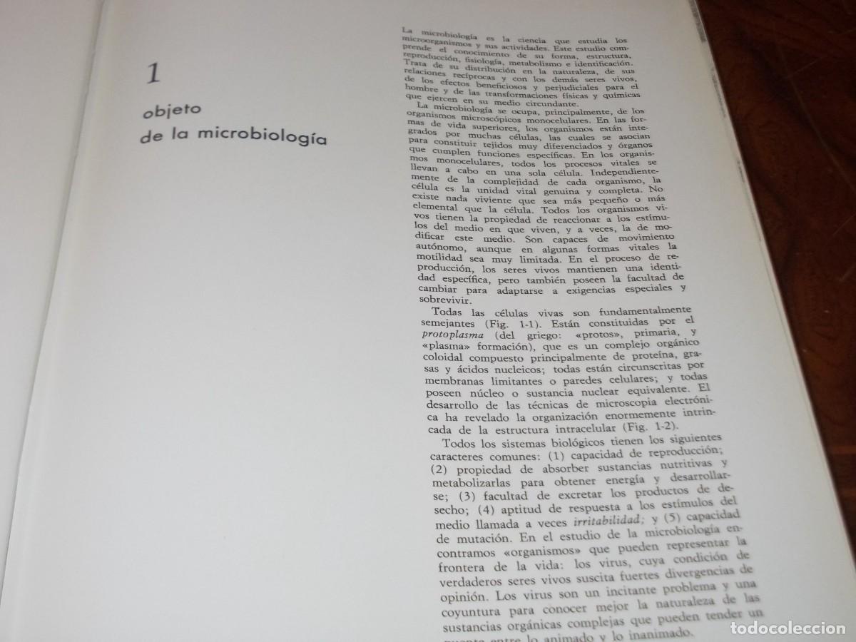 Libros de segunda mano: MIcrobiolog&iacute;a. M.J. Pelczar y R.D. Reid. Ediciones del Castillo 1.970, defecto - Foto 4