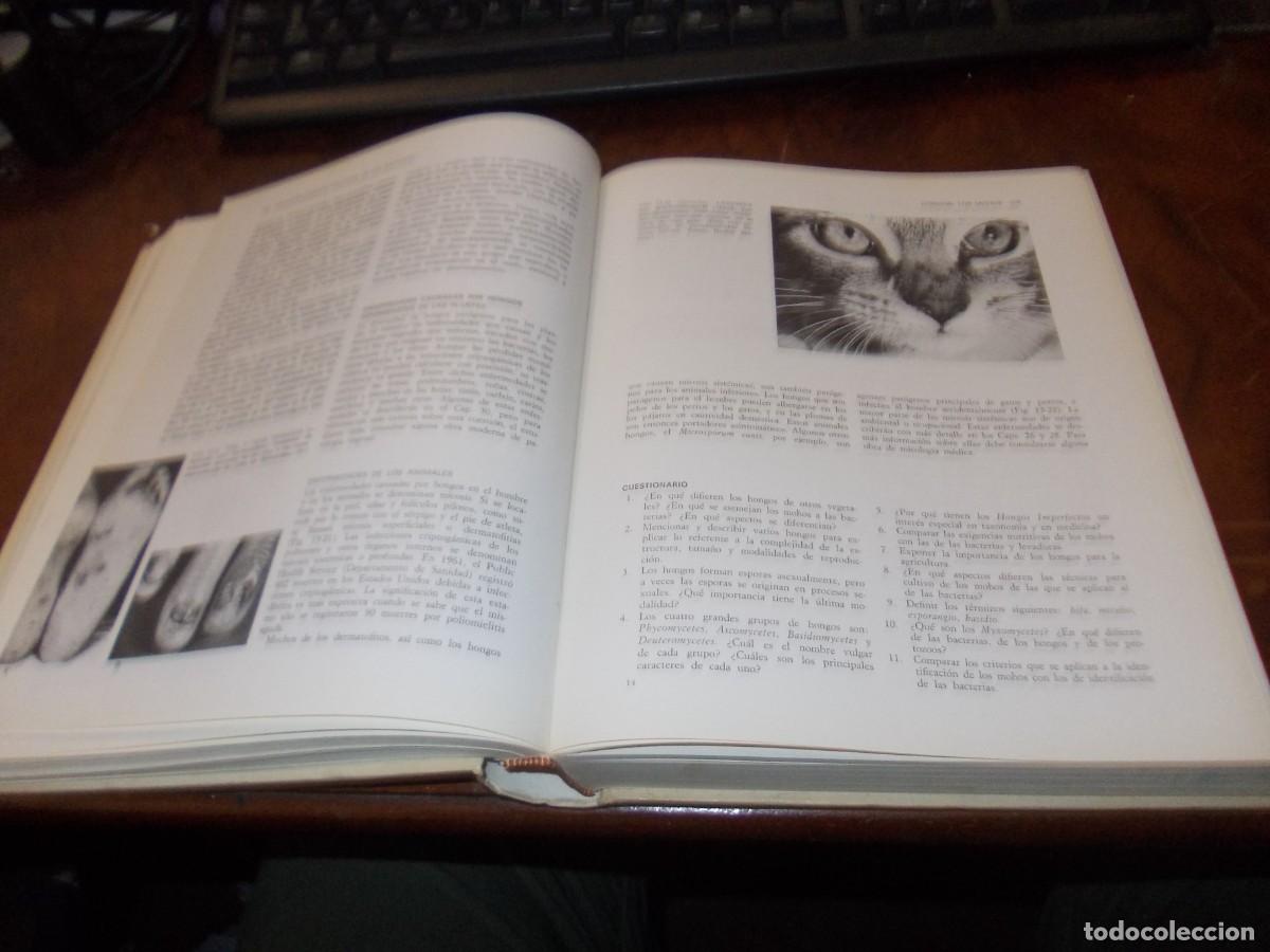 Libros de segunda mano: MIcrobiolog&iacute;a. M.J. Pelczar y R.D. Reid. Ediciones del Castillo 1.970, defecto - Foto 6