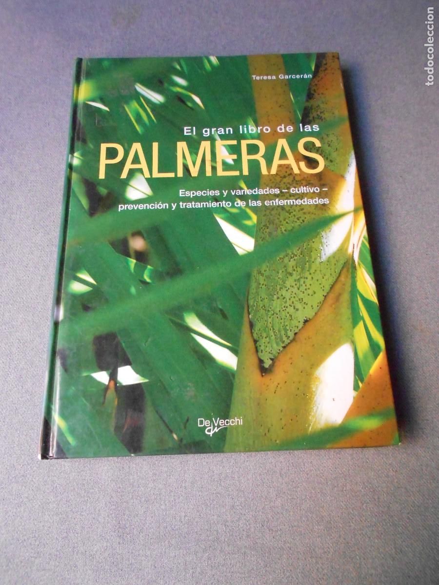 Libros de segunda mano: EL GRAN LIBRO DE LAS PALMERAS - Foto 1