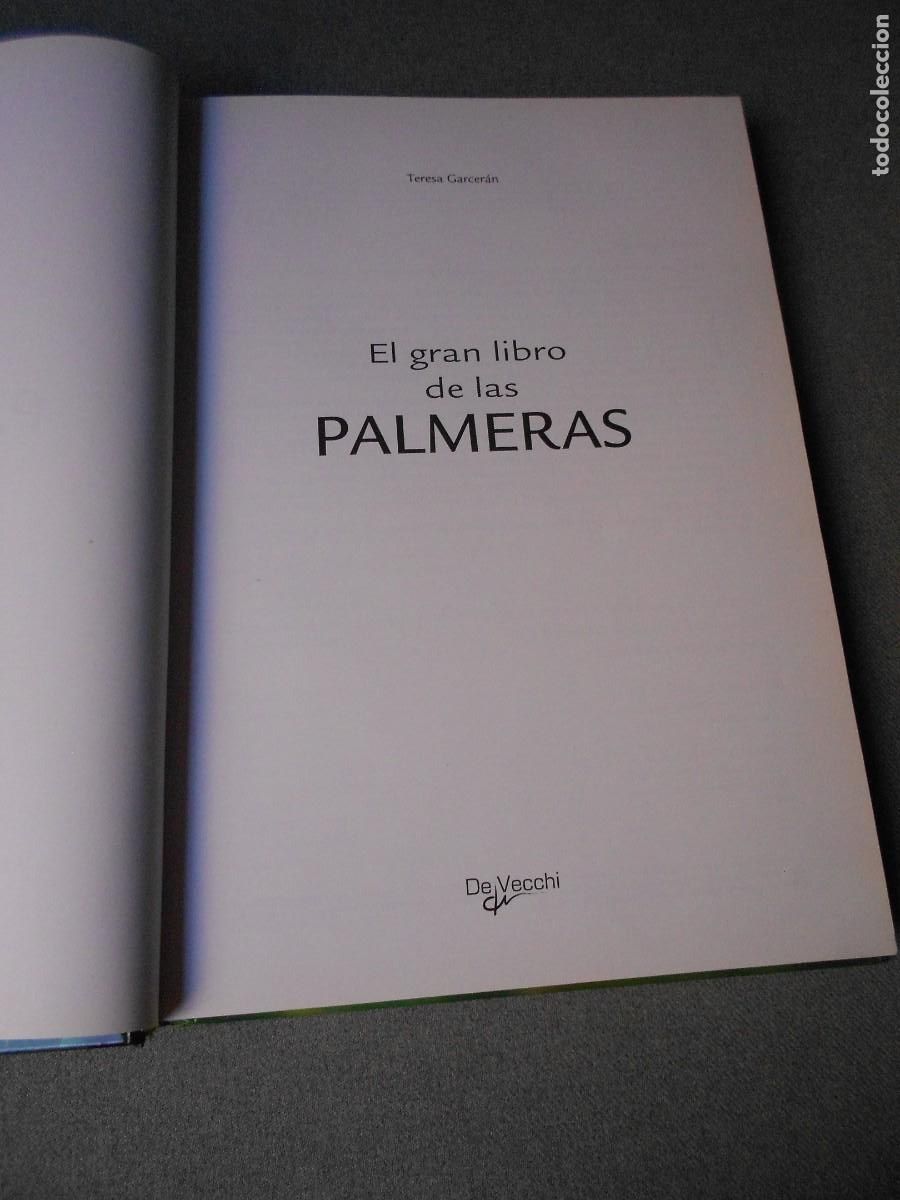 Libros de segunda mano: EL GRAN LIBRO DE LAS PALMERAS - Foto 2