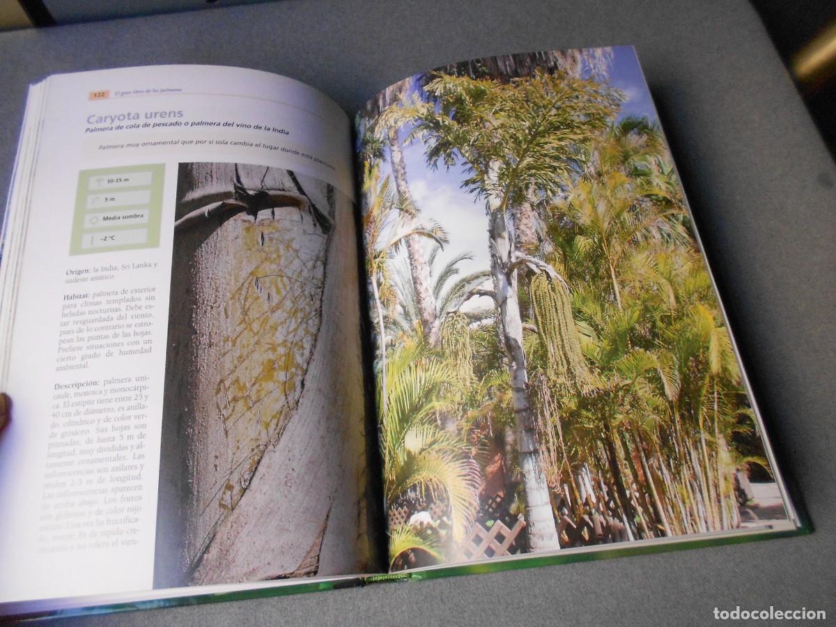Libros de segunda mano: EL GRAN LIBRO DE LAS PALMERAS - Foto 6