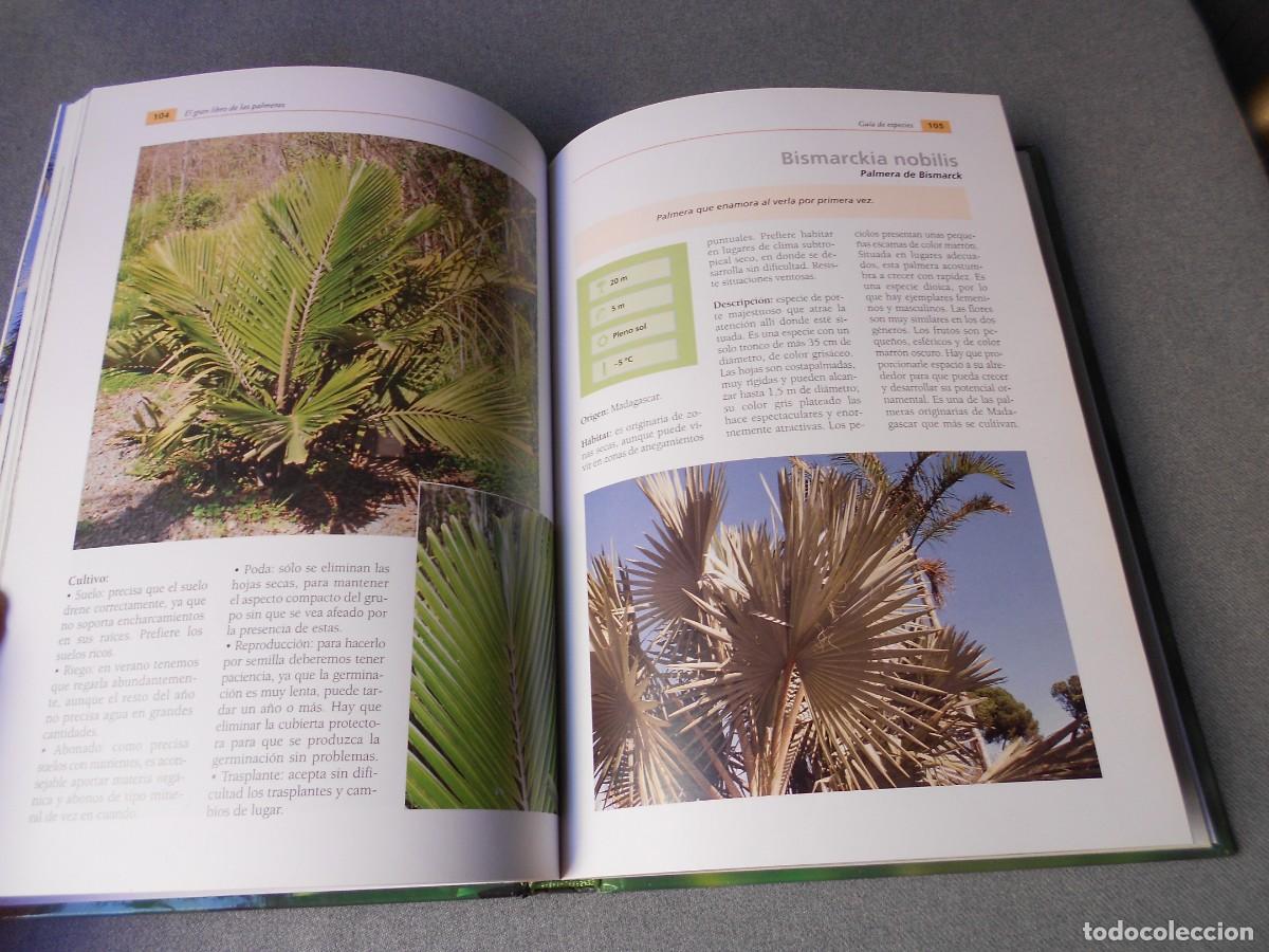 Libros de segunda mano: EL GRAN LIBRO DE LAS PALMERAS - Foto 7