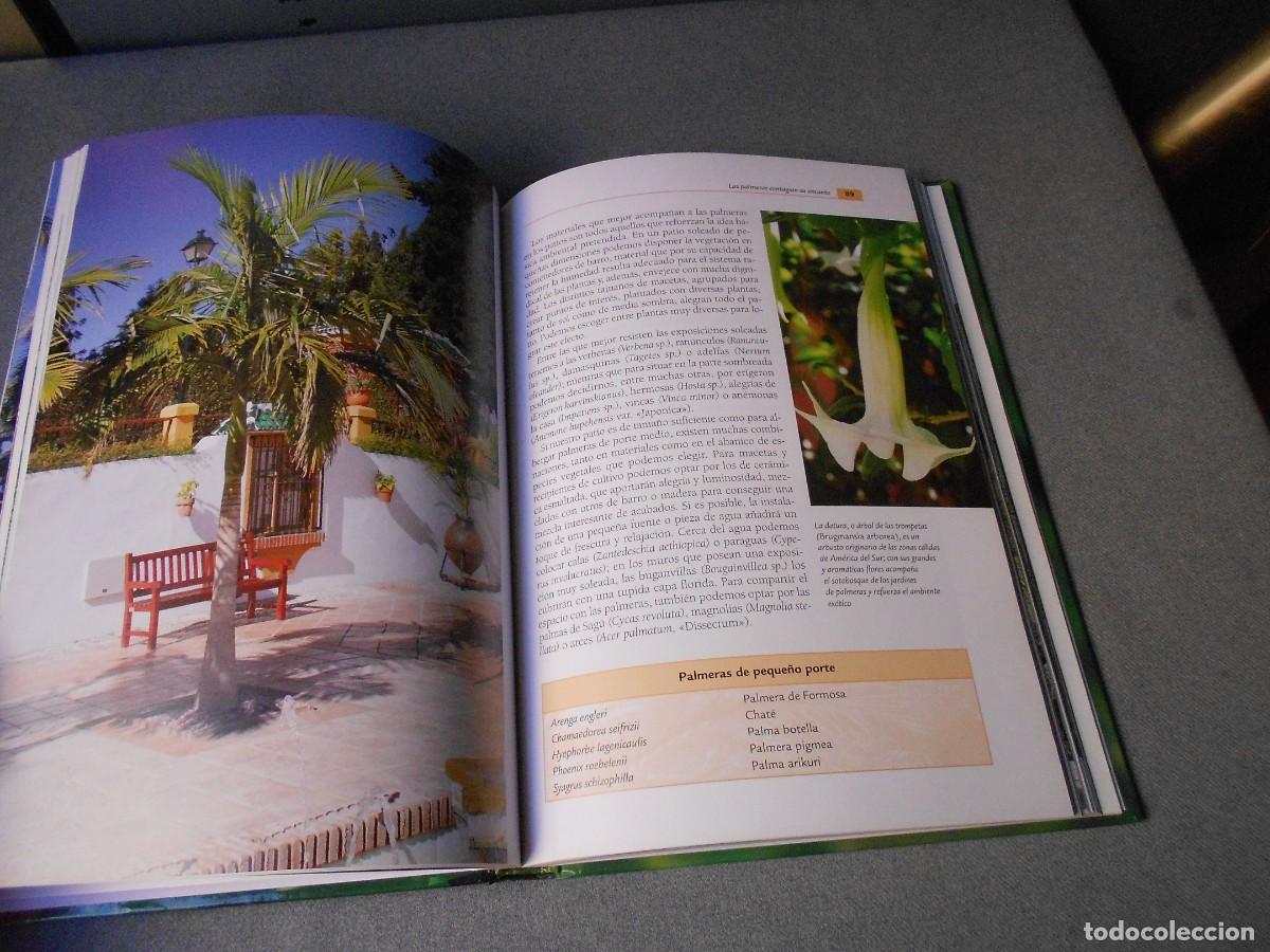 Libros de segunda mano: EL GRAN LIBRO DE LAS PALMERAS - Foto 8
