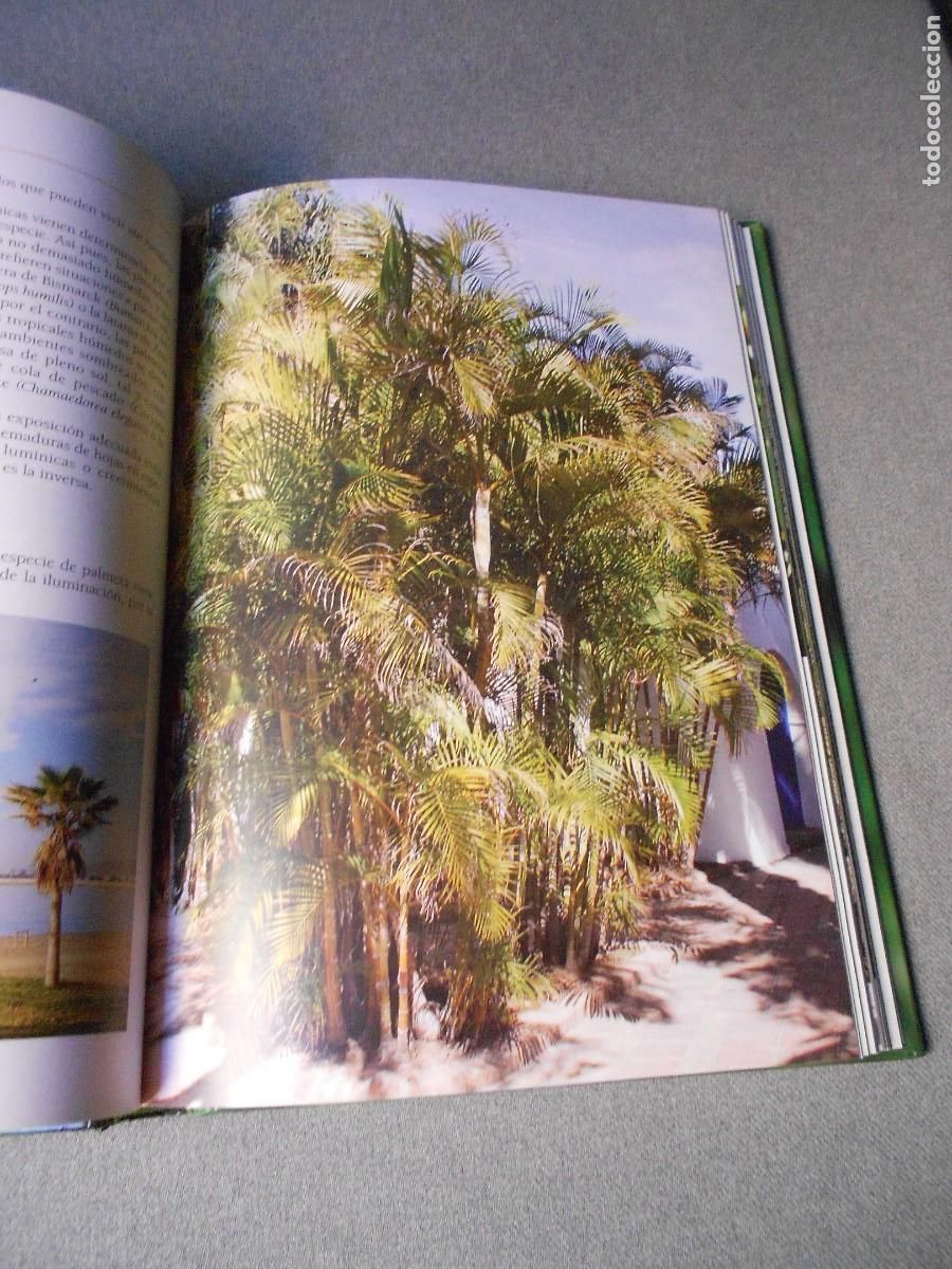 Libros de segunda mano: EL GRAN LIBRO DE LAS PALMERAS - Foto 9