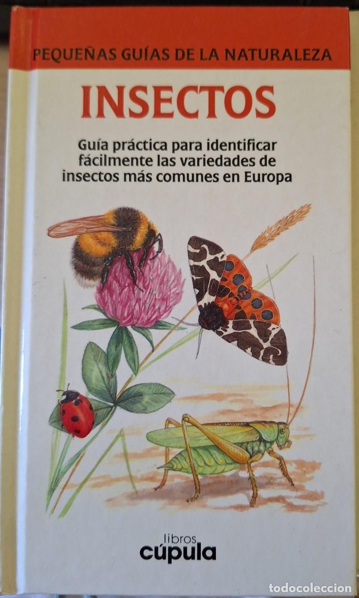 Libros de segunda mano: INSECTOS. - FOREY/FITZSIMONS, Pamela/Cecilia. - Foto 1