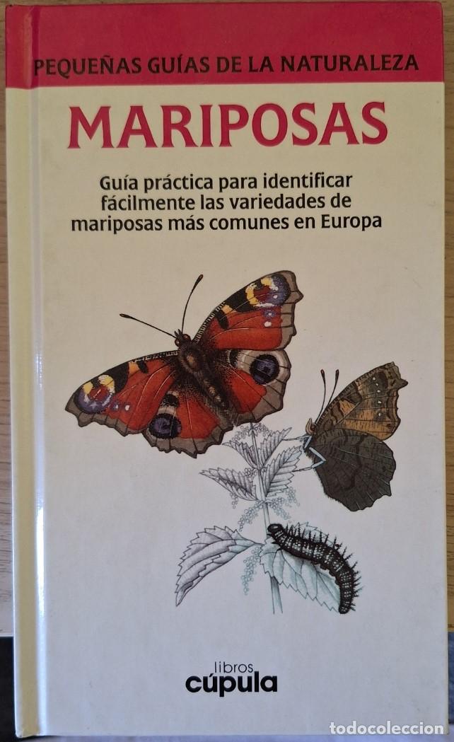 Libros de segunda mano: MARIPOSAS. - FOREY/MC CORMICK, Pamela/Sue. - Foto 1