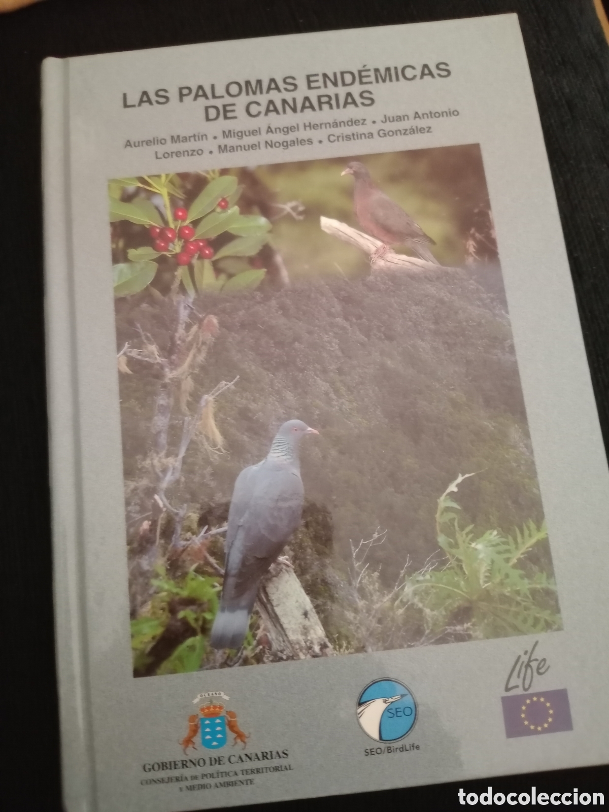 Libros de segunda mano: Toreteblanco las palomas end&eacute;micas de Canarias - Foto 1