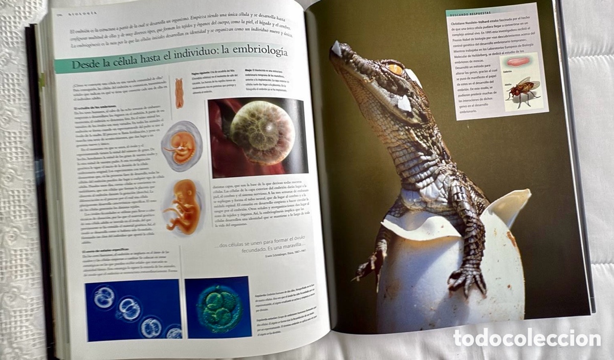 Libros de segunda mano de ciencias: CIENT&Iacute;FICA: gu&iacute;a completa del mundo de la ciencia. ULLMANN - Foto 8
