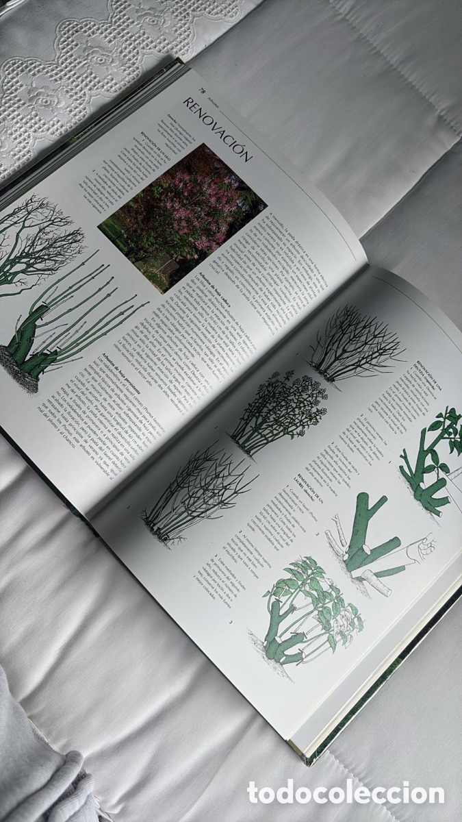 Libros de segunda mano: PODA Y DESARROLLO DE LAS PLANTAS - Foto 5