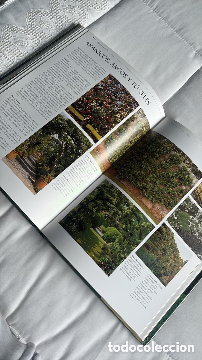 Libros de segunda mano: PODA Y DESARROLLO DE LAS PLANTAS - Foto 7