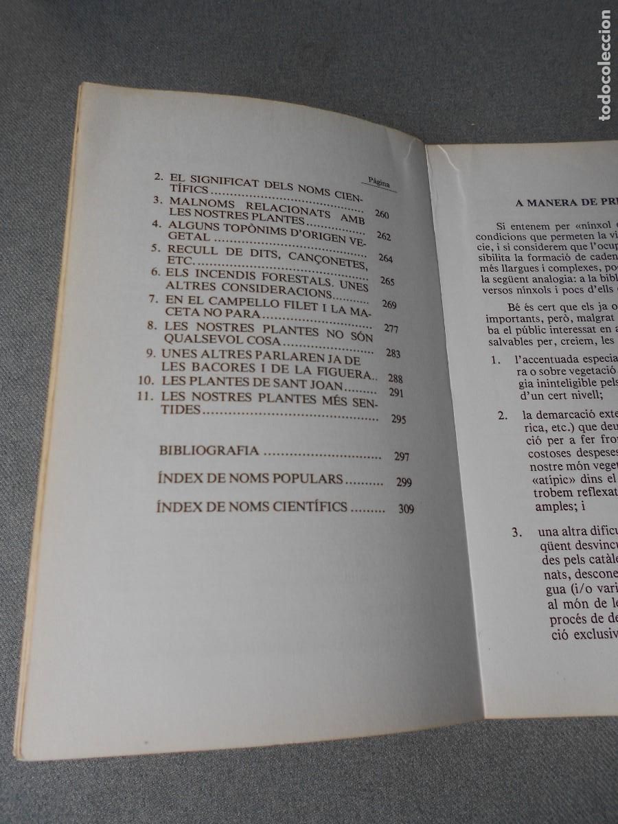 Libros de segunda mano: LES NOSTRES PLANTES. DANIEL CLIMENT - Foto 5