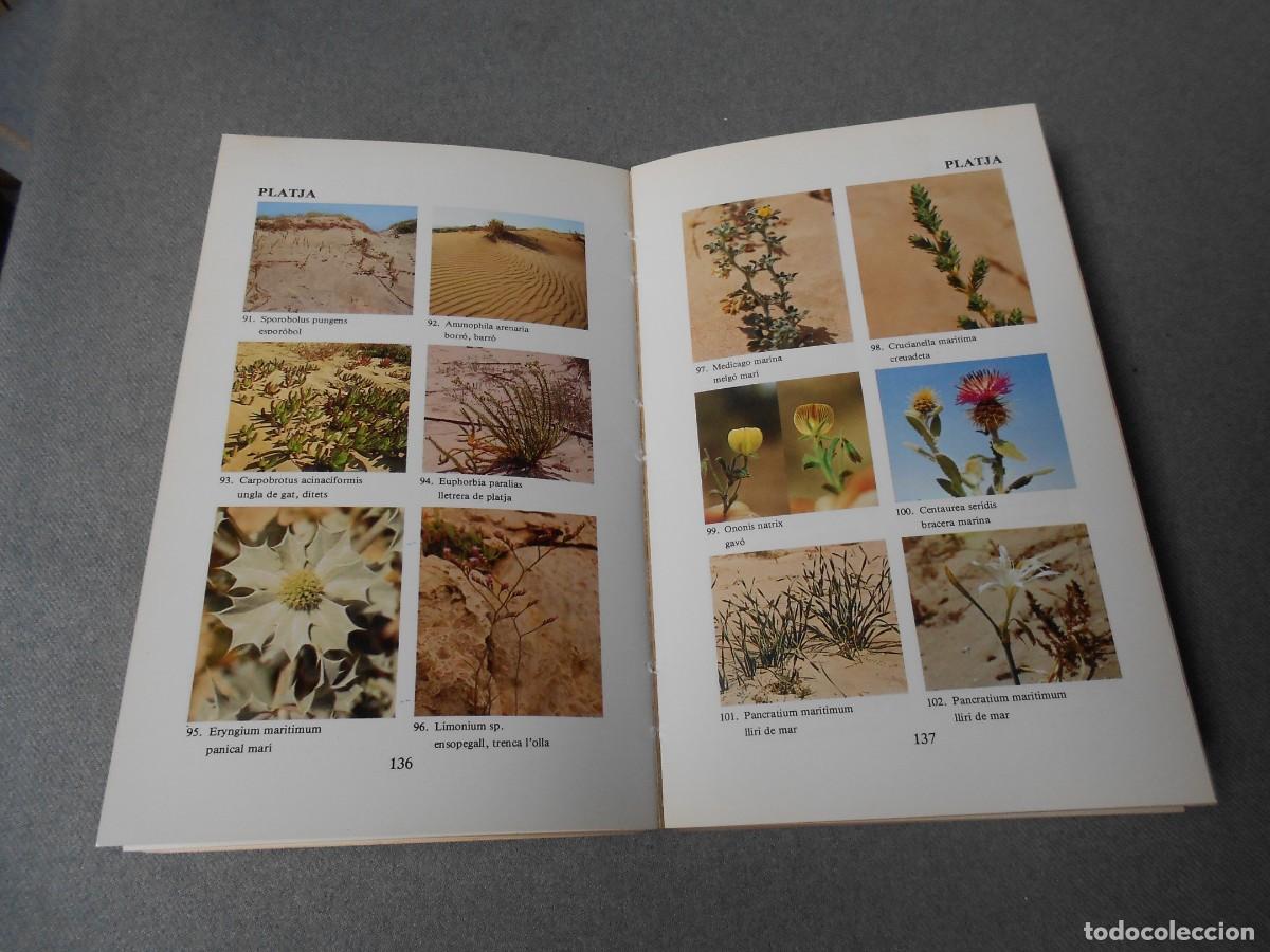 Libros de segunda mano: LES NOSTRES PLANTES. DANIEL CLIMENT - Foto 6