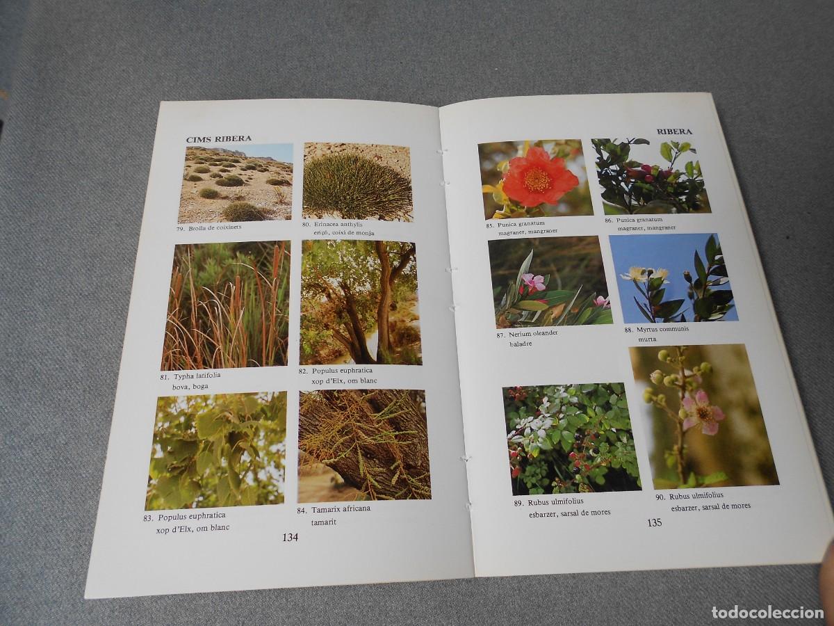 Libros de segunda mano: LES NOSTRES PLANTES. DANIEL CLIMENT - Foto 7