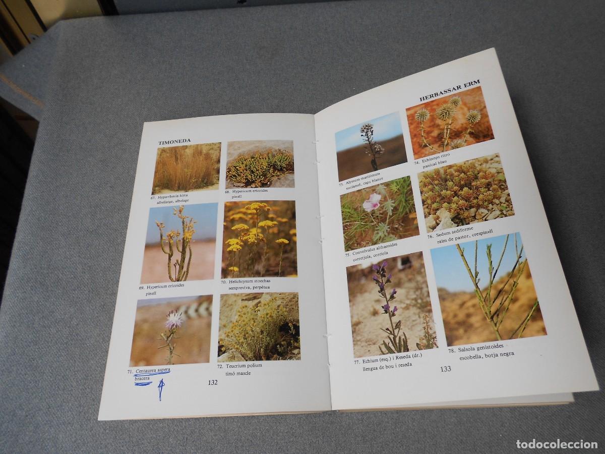 Libros de segunda mano: LES NOSTRES PLANTES. DANIEL CLIMENT - Foto 8