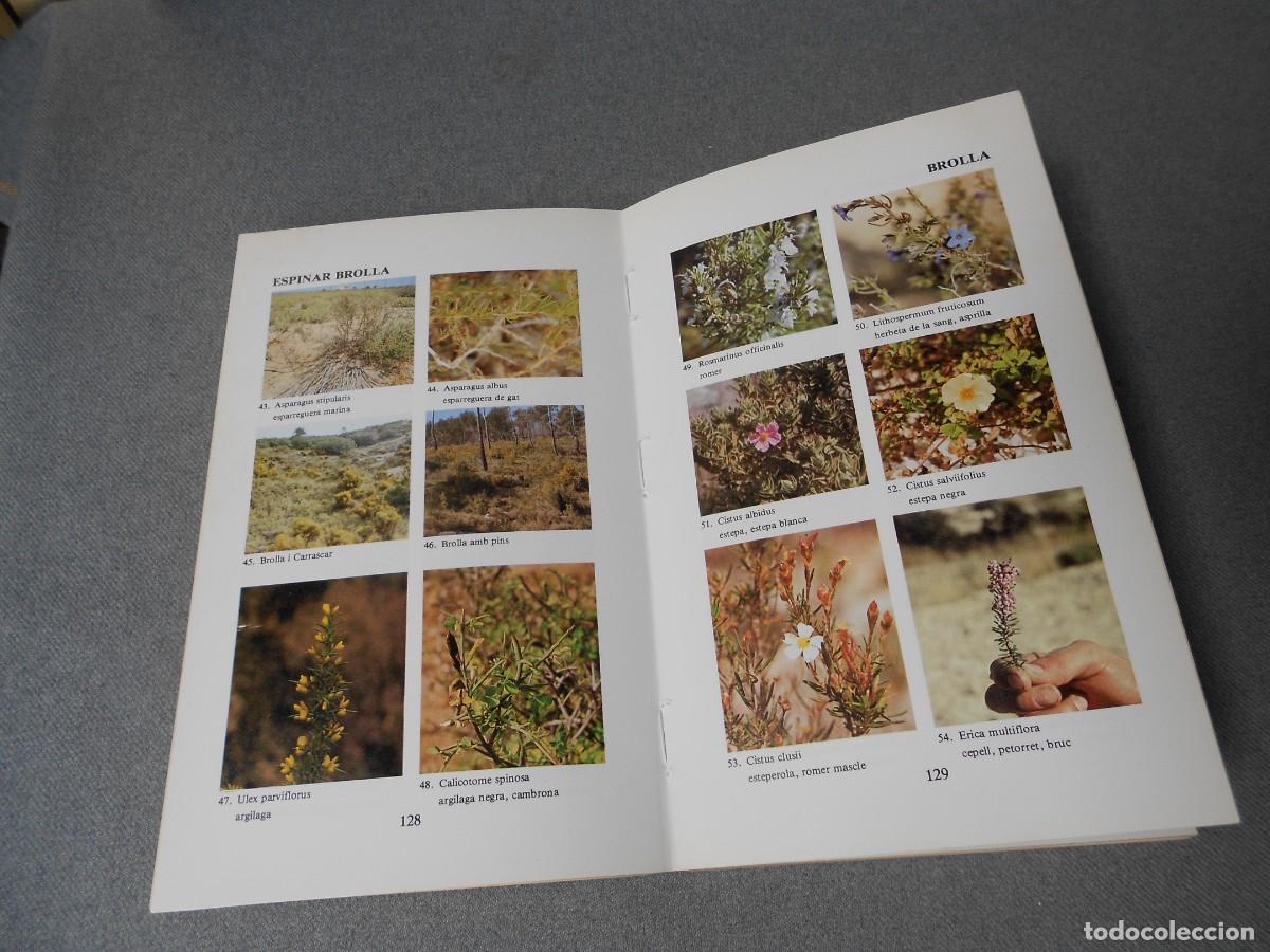 Libros de segunda mano: LES NOSTRES PLANTES. DANIEL CLIMENT - Foto 9