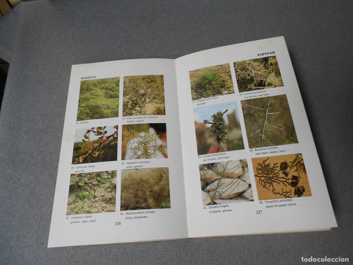 Libros de segunda mano: LES NOSTRES PLANTES. DANIEL CLIMENT - Foto 10