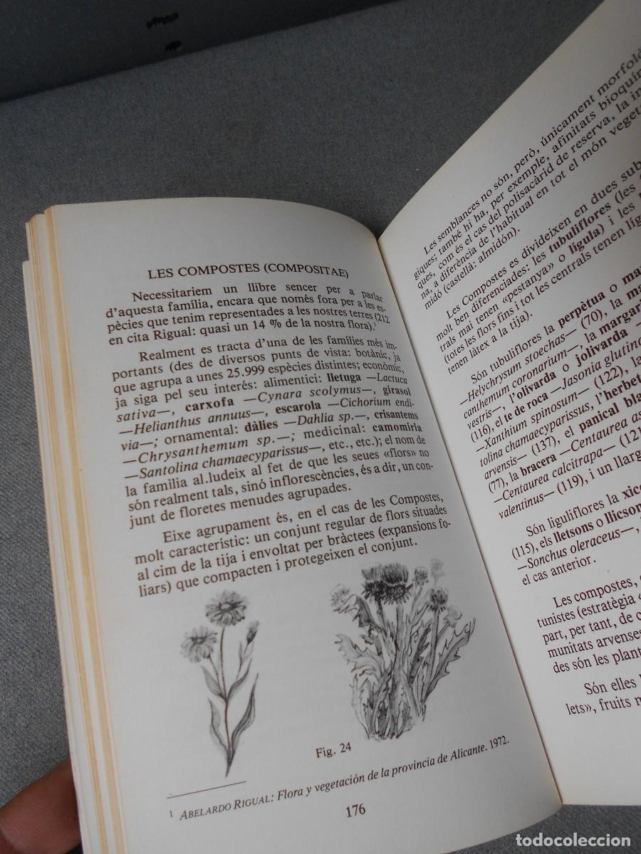 Libros de segunda mano: LES NOSTRES PLANTES. DANIEL CLIMENT - Foto 12