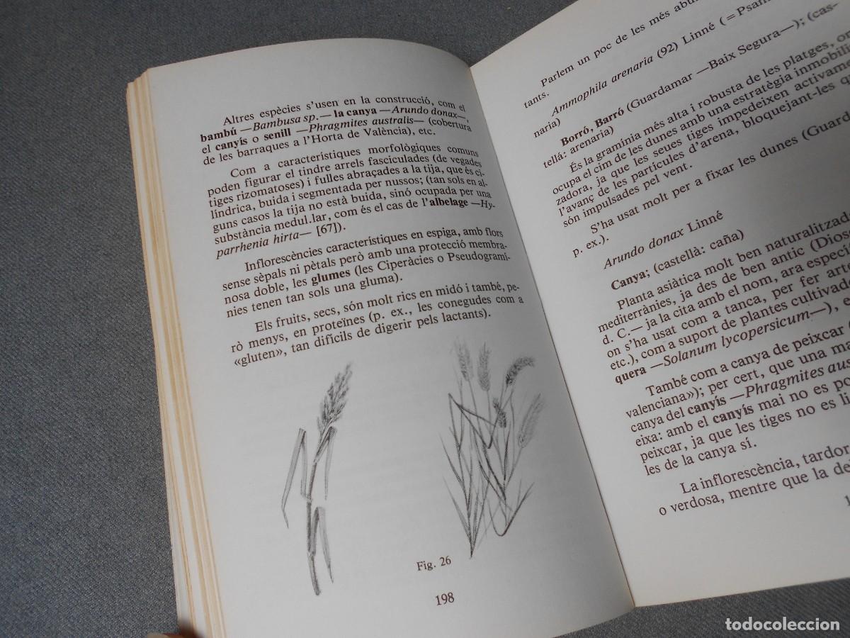 Libros de segunda mano: LES NOSTRES PLANTES. DANIEL CLIMENT - Foto 13