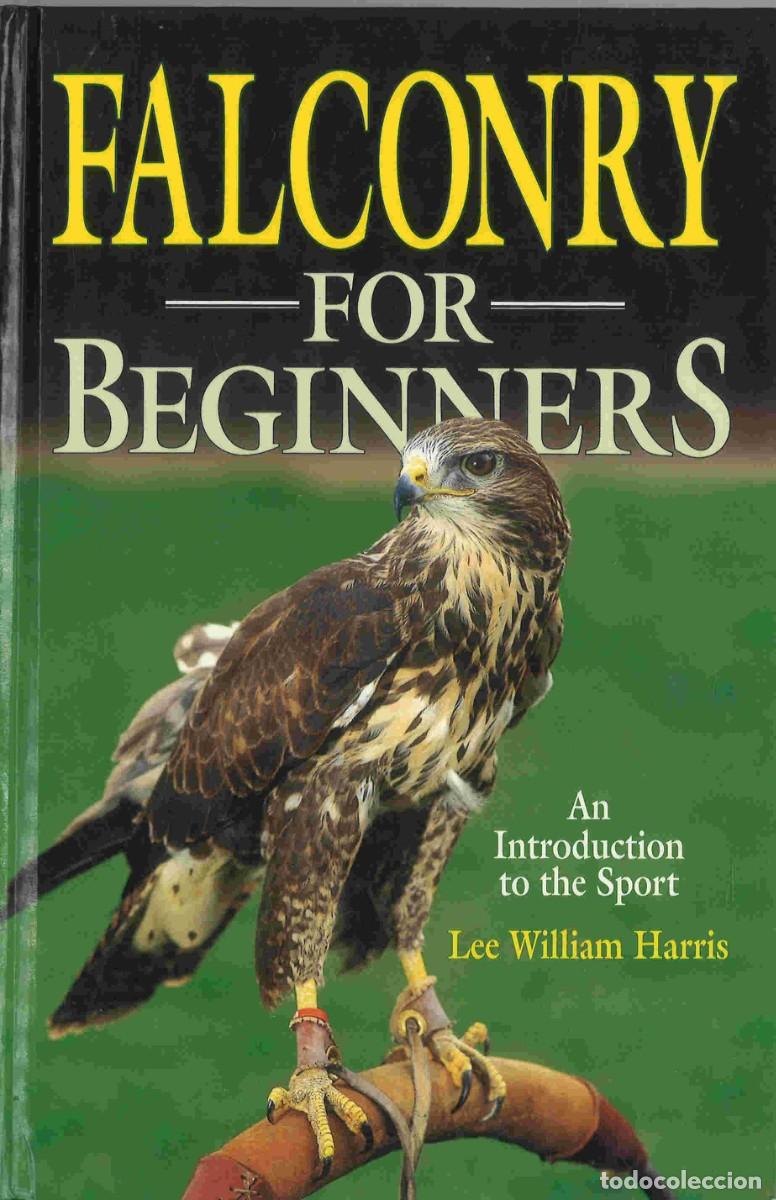 Libros de segunda mano: Falconry for beginners. Libro de cetrer&iacute;a en ingl&eacute;s. 2002 - Foto 1