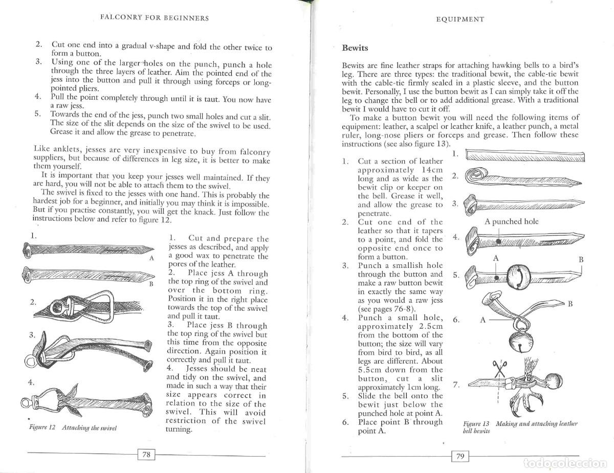 Libros de segunda mano: Falconry for beginners. Libro de cetrer&iacute;a en ingl&eacute;s. 2002 - Foto 3