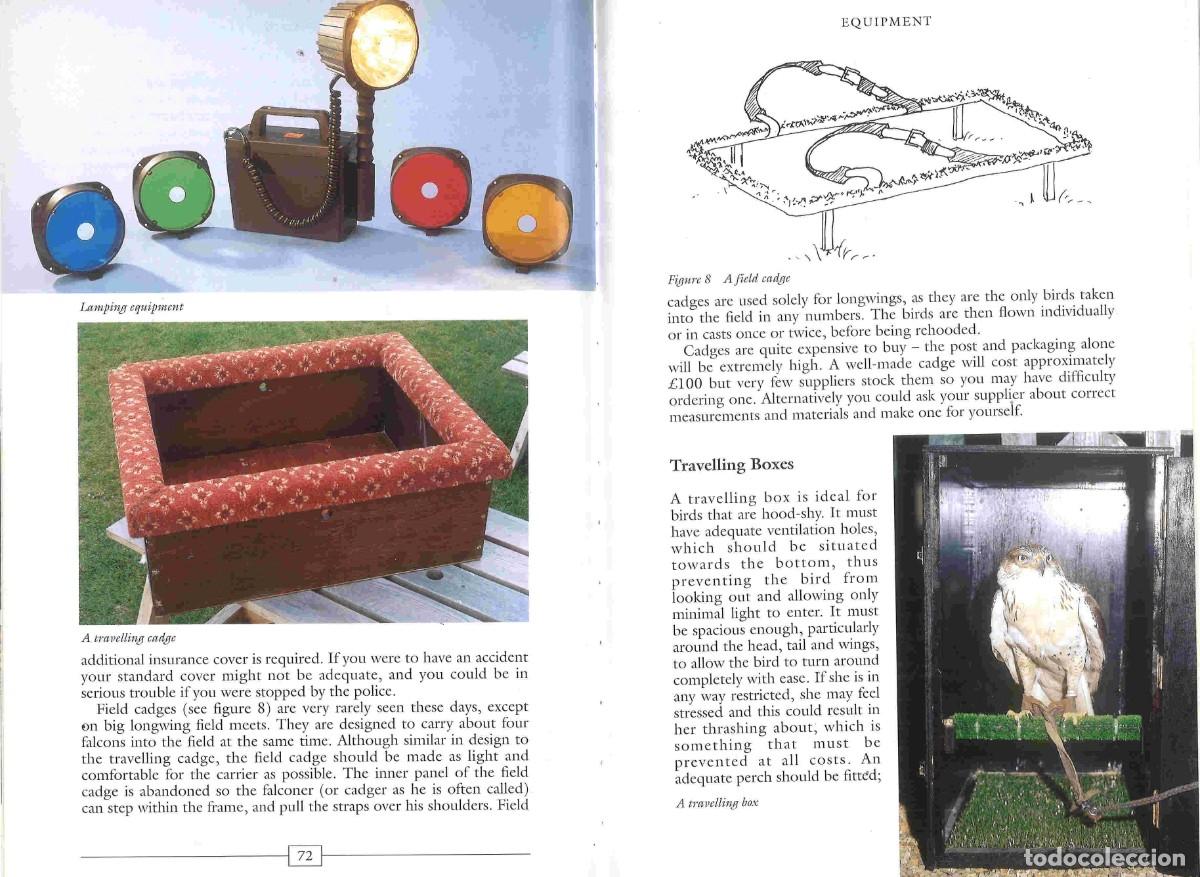 Libros de segunda mano: Falconry for beginners. Libro de cetrer&iacute;a en ingl&eacute;s. 2002 - Foto 4