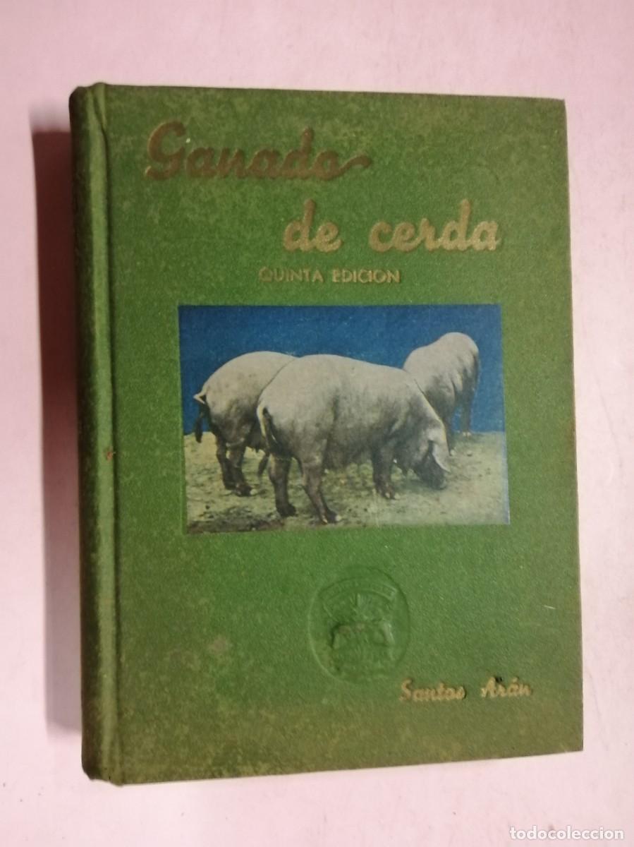 Libros de segunda mano: GANADO DE CERDA (SANTOS ARAN) - Foto 1
