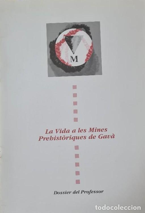 Libros de segunda mano: LA VIDA A LES MINES PREHIST&Ograve;RIQUES. DOSSIER DEL PROFESSOR. - Foto 1