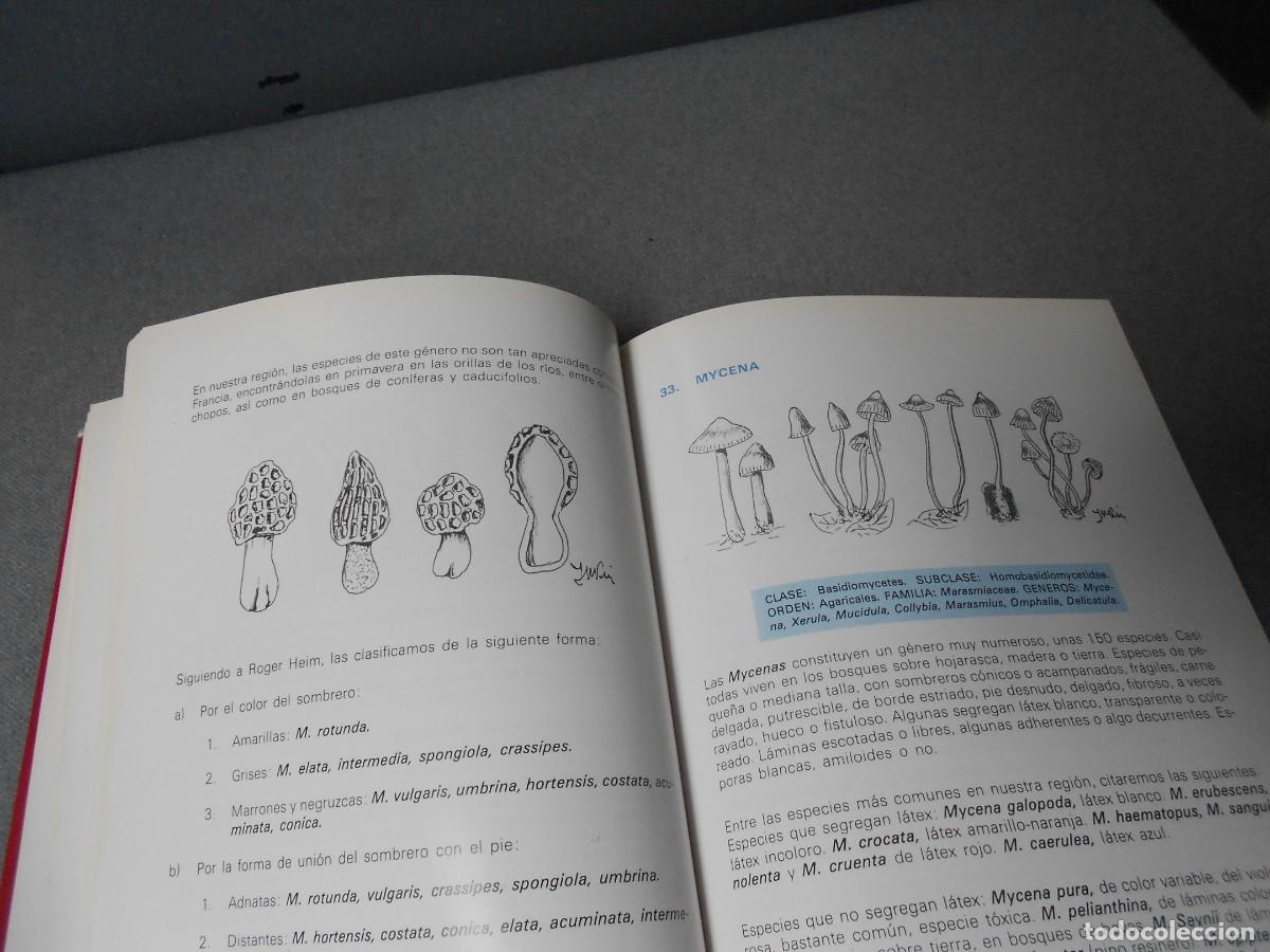 Libros de segunda mano: LAS SETAS. MANUAL PRACTICO PARA EL AFICIONADO. - Foto 6