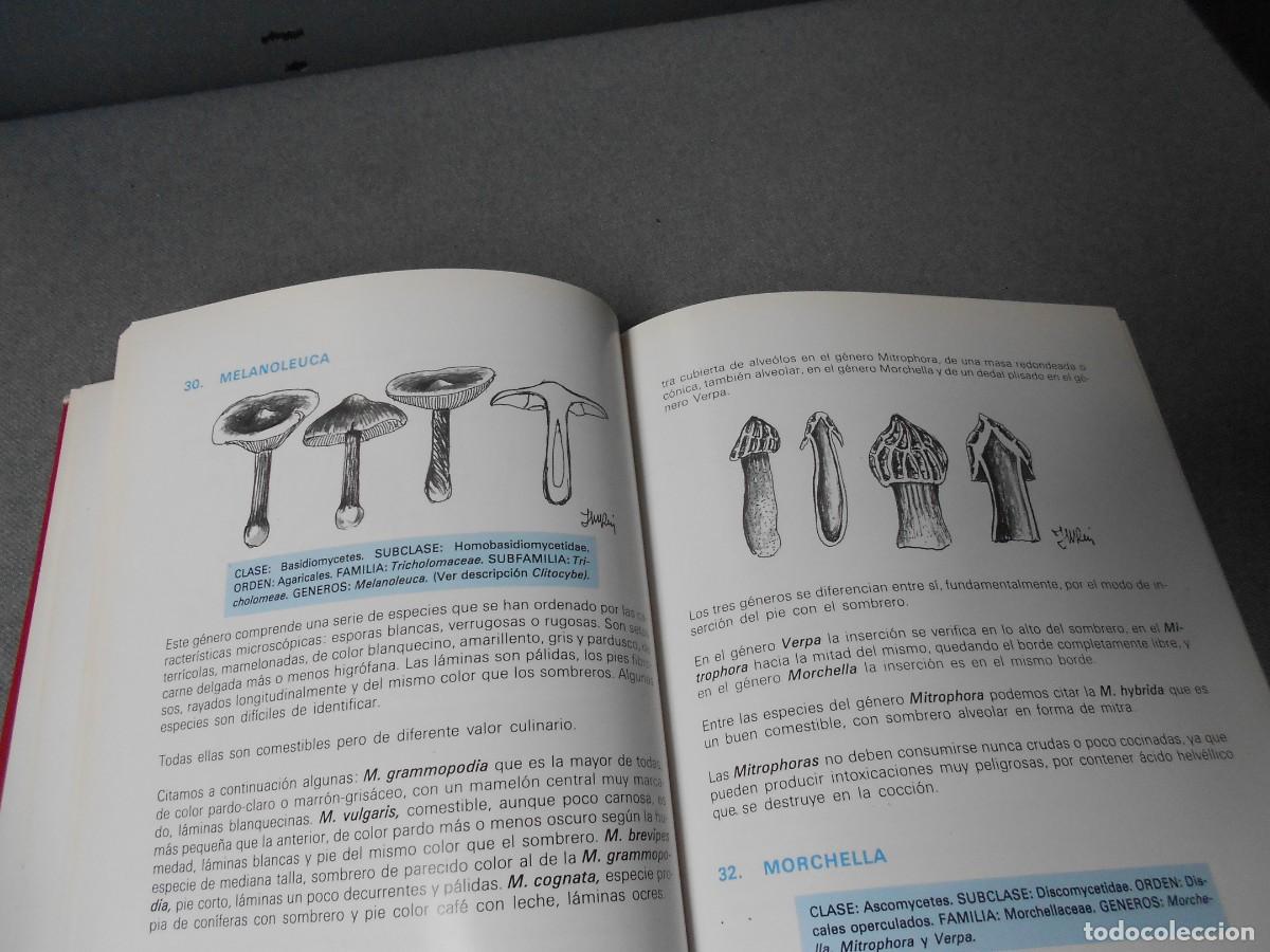 Libros de segunda mano: LAS SETAS. MANUAL PRACTICO PARA EL AFICIONADO. - Foto 7
