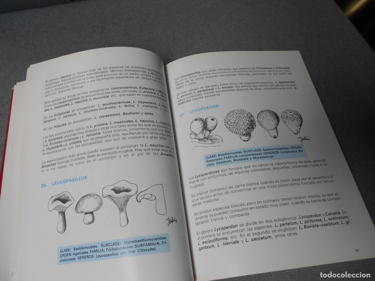Libros de segunda mano: LAS SETAS. MANUAL PRACTICO PARA EL AFICIONADO. - Foto 8