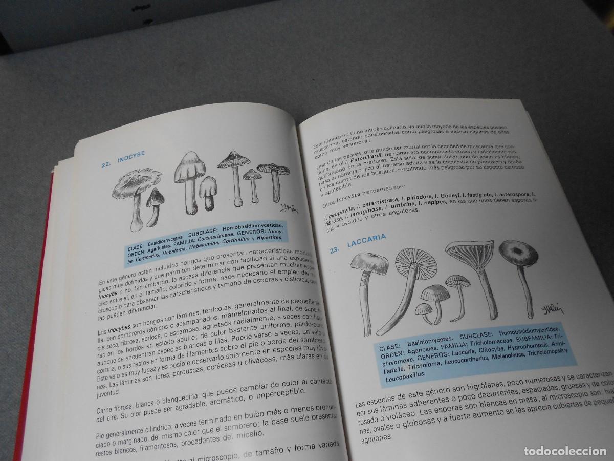 Libros de segunda mano: LAS SETAS. MANUAL PRACTICO PARA EL AFICIONADO. - Foto 9