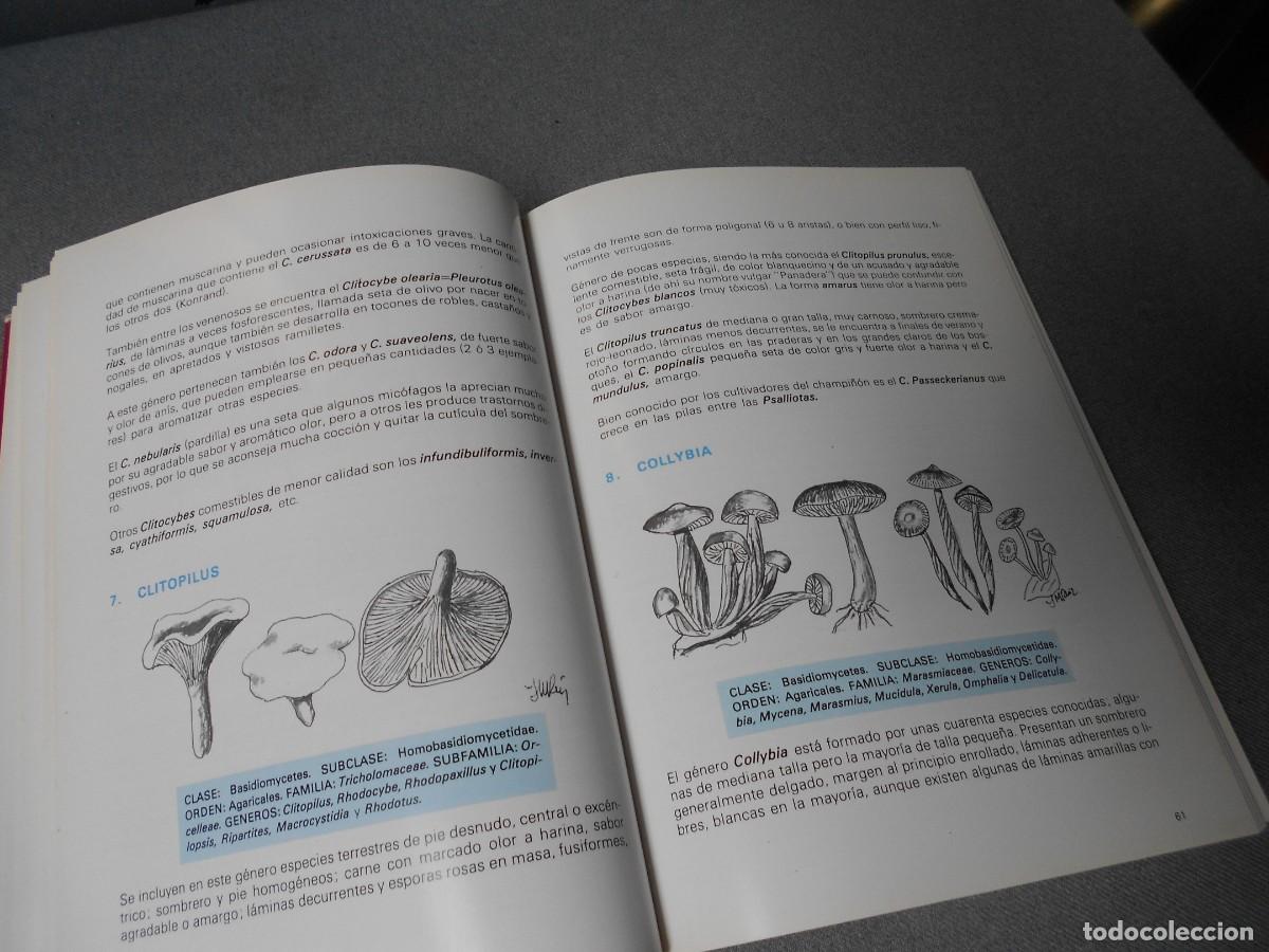 Libros de segunda mano: LAS SETAS. MANUAL PRACTICO PARA EL AFICIONADO. - Foto 10