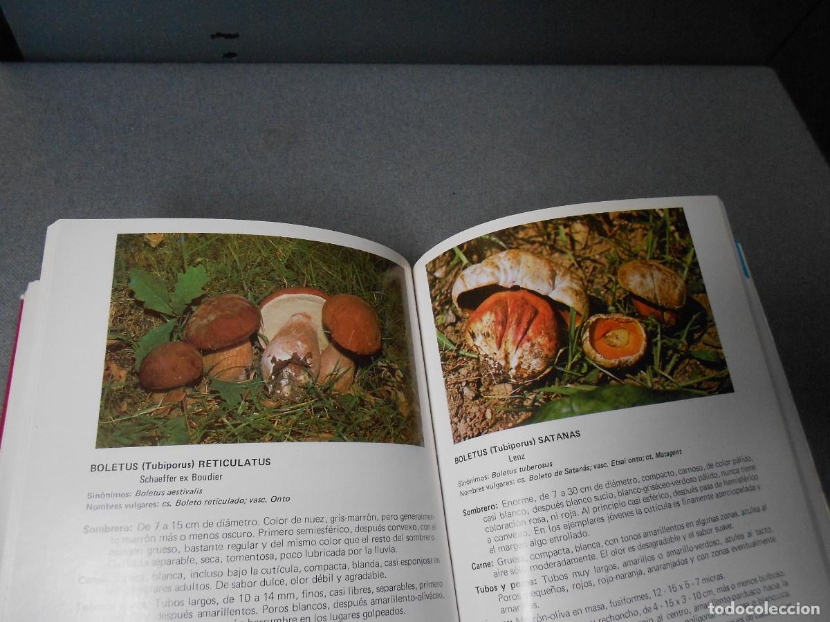 Libros de segunda mano: LAS SETAS. MANUAL PRACTICO PARA EL AFICIONADO. - Foto 12