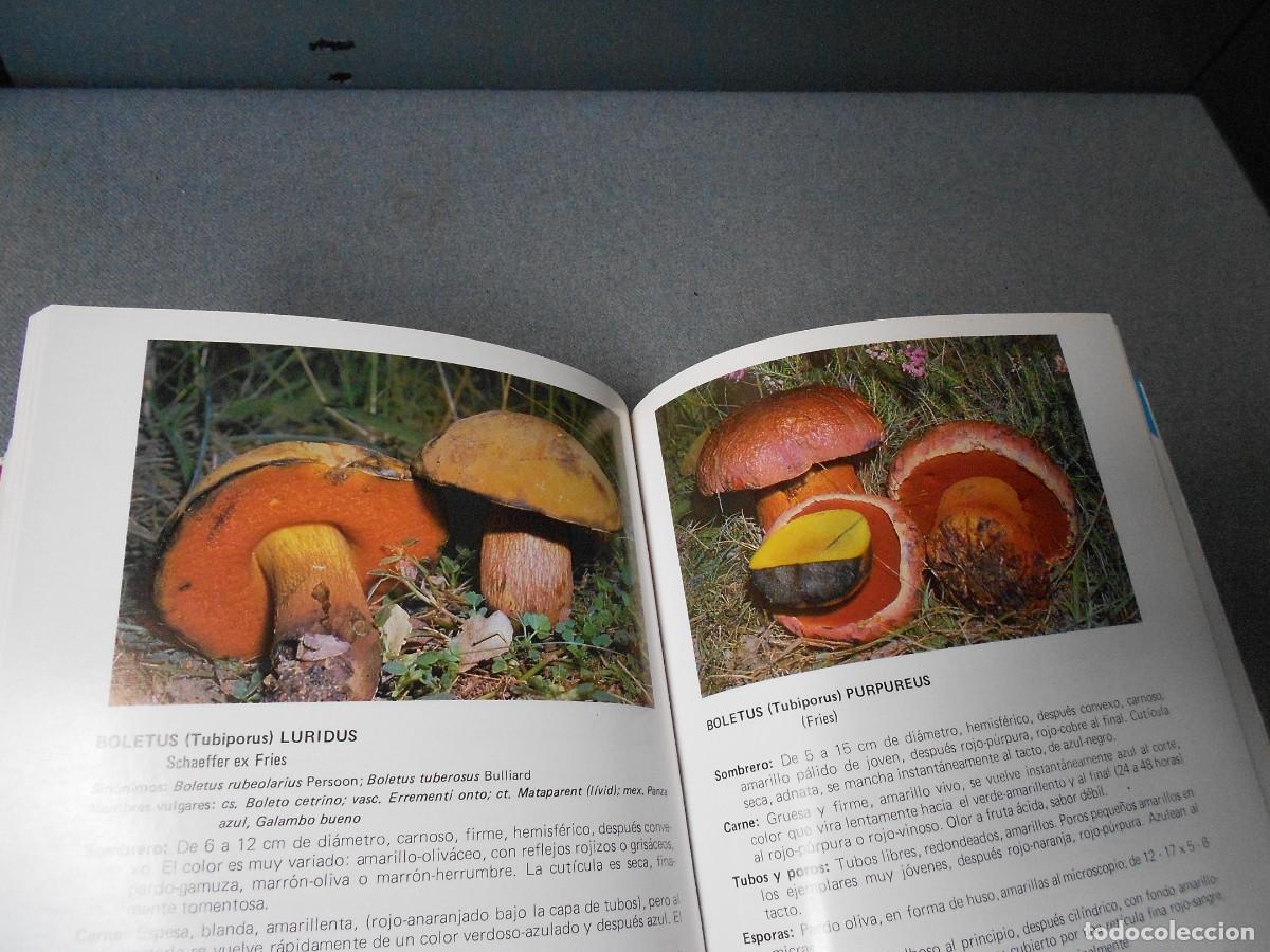 Libros de segunda mano: LAS SETAS. MANUAL PRACTICO PARA EL AFICIONADO. - Foto 13
