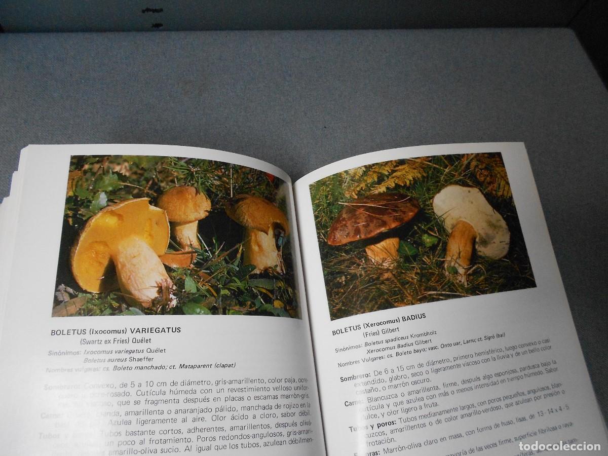 Libros de segunda mano: LAS SETAS. MANUAL PRACTICO PARA EL AFICIONADO. - Foto 14