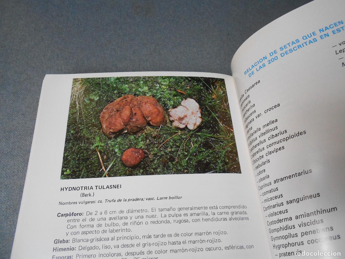 Libros de segunda mano: LAS SETAS. MANUAL PRACTICO PARA EL AFICIONADO. - Foto 15