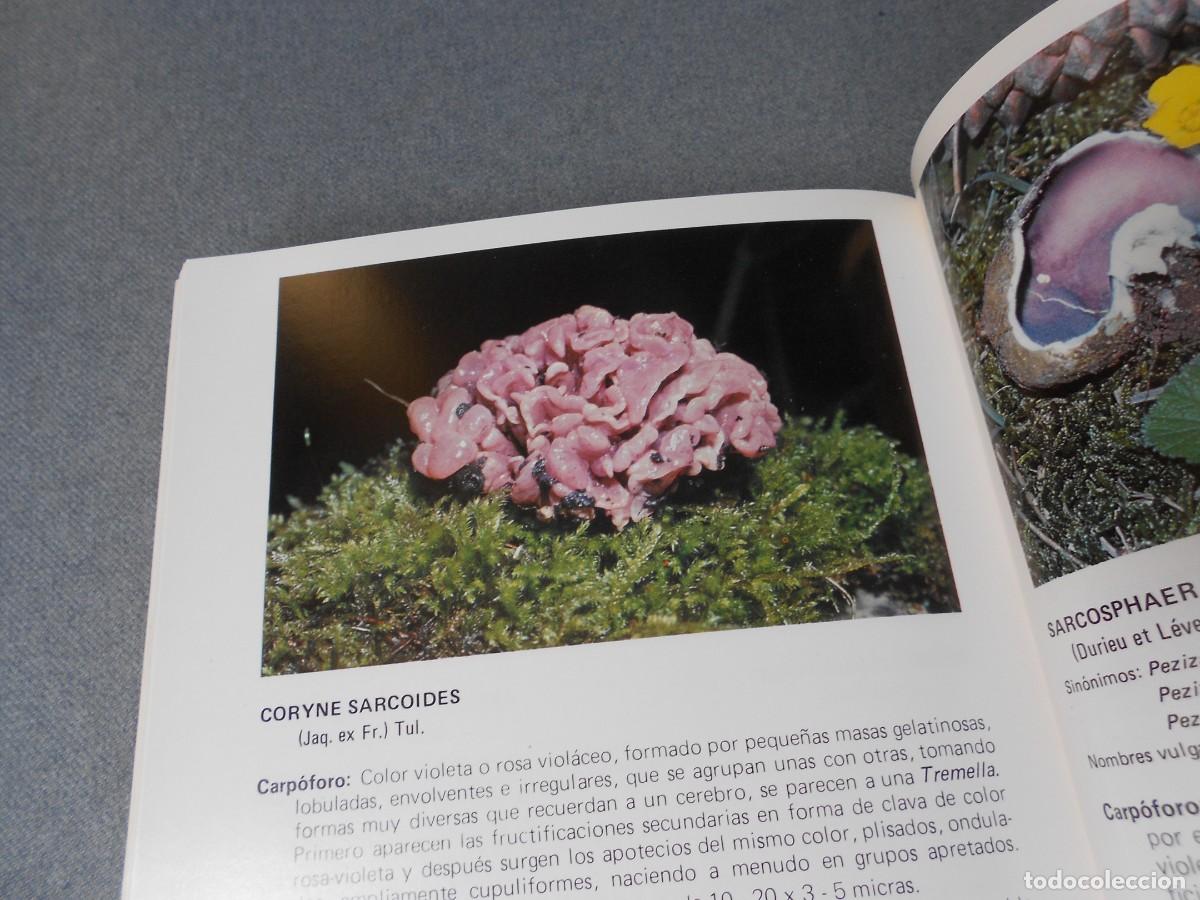 Libros de segunda mano: LAS SETAS. MANUAL PRACTICO PARA EL AFICIONADO. - Foto 18