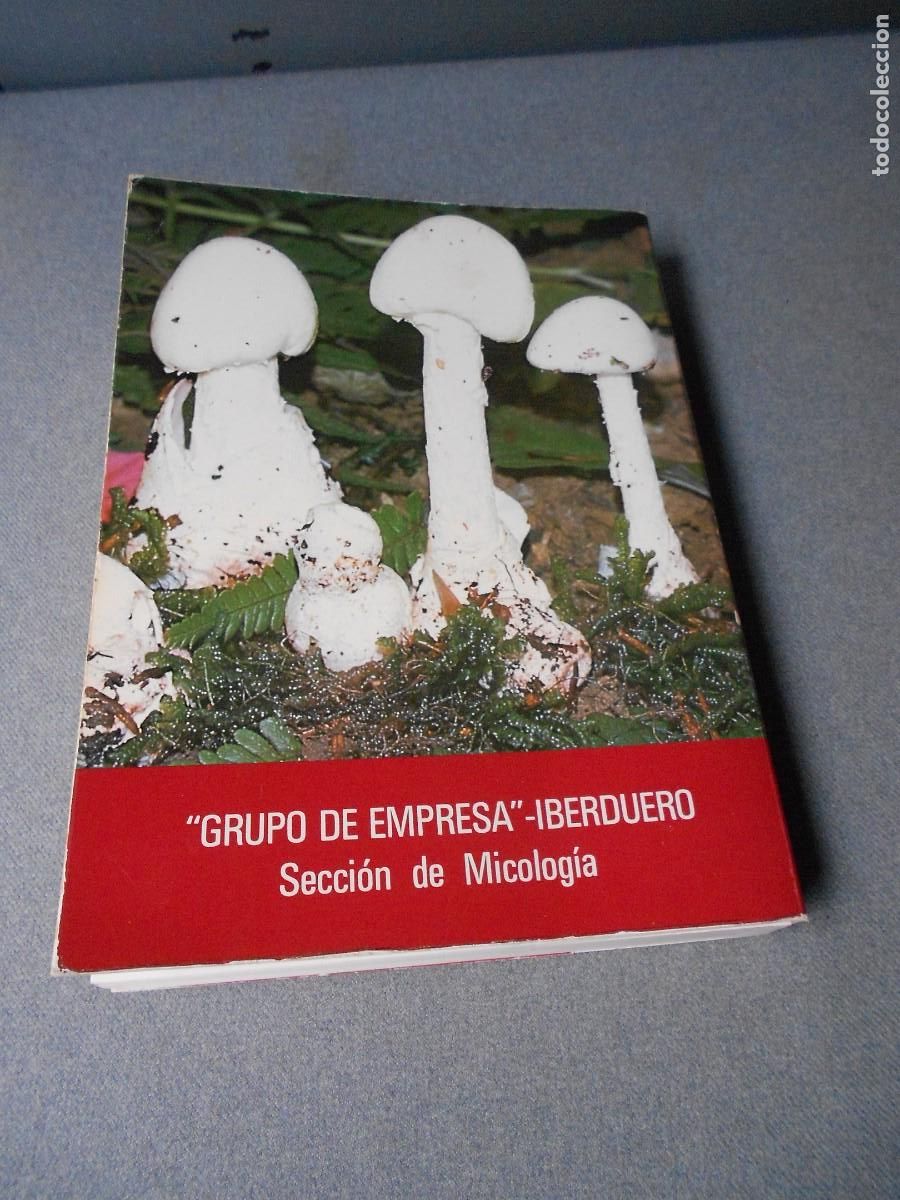 Libros de segunda mano: LAS SETAS. MANUAL PRACTICO PARA EL AFICIONADO. - Foto 19