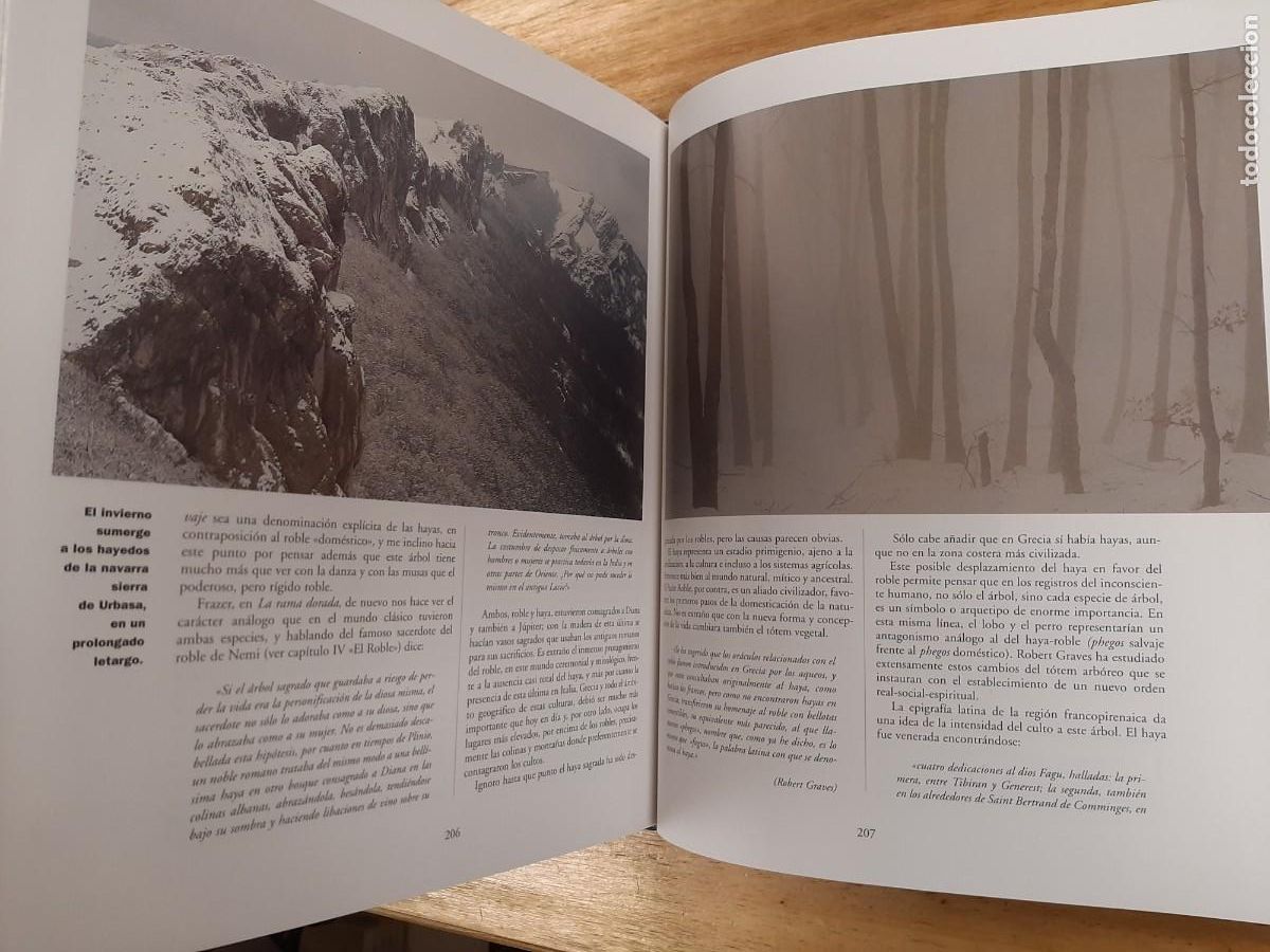 Libros de segunda mano: La magia de los &aacute;rboles - Ignacio Abella - RBA Libros, 1 dic 2015 - Foto 8