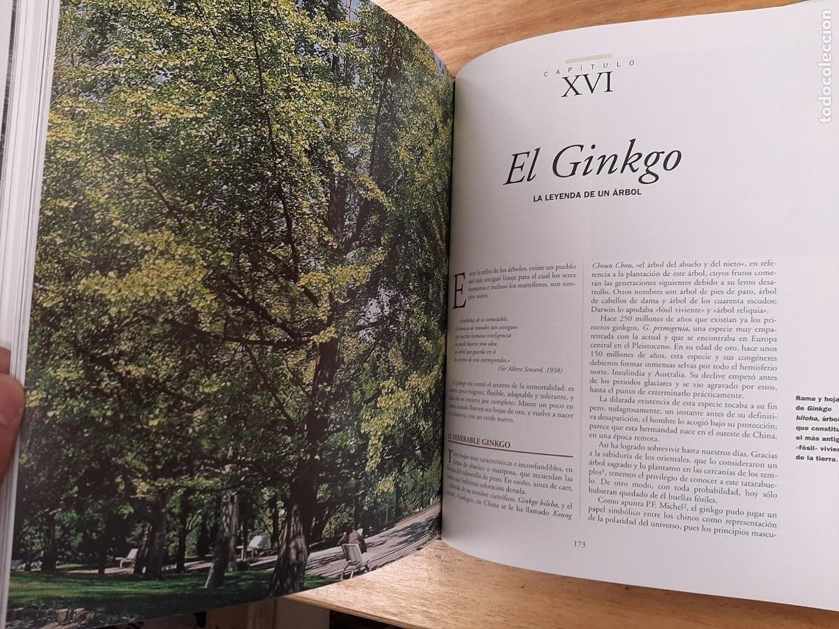 Libros de segunda mano: La magia de los &aacute;rboles - Ignacio Abella - RBA Libros, 1 dic 2015 - Foto 10