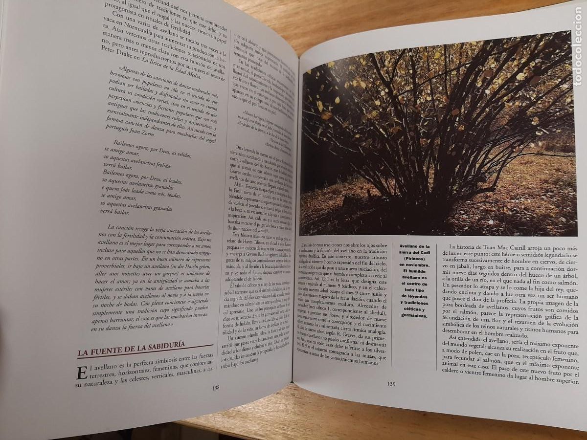 Libros de segunda mano: La magia de los &aacute;rboles - Ignacio Abella - RBA Libros, 1 dic 2015 - Foto 11