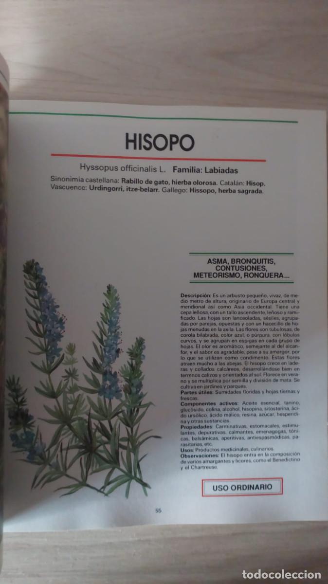Libros de segunda mano: EL MUNDO DE LAS PLANTAS MEDICINALES . - Foto 3