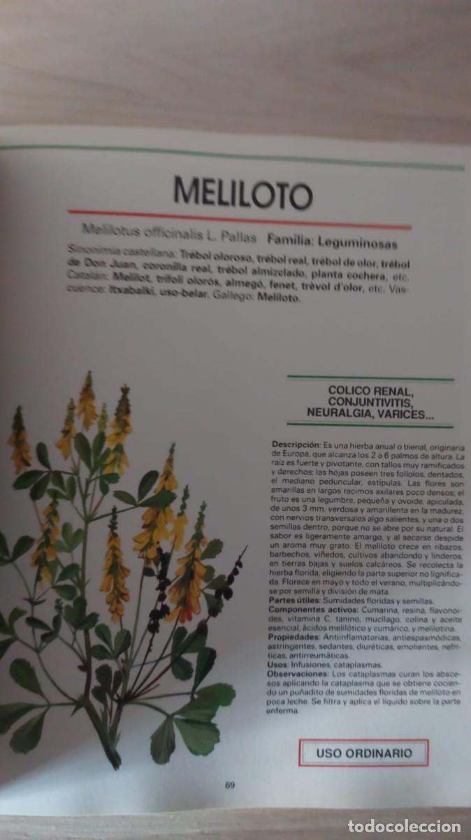 Libros de segunda mano: EL MUNDO DE LAS PLANTAS MEDICINALES . - Foto 4