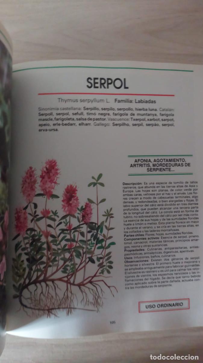 Libros de segunda mano: EL MUNDO DE LAS PLANTAS MEDICINALES . - Foto 5